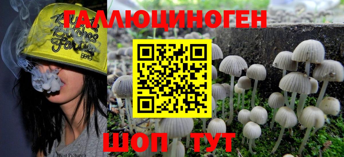 Псилоцибиновые грибы Psilocybe  хочу наркоту  Строитель  Вход с VPN 
